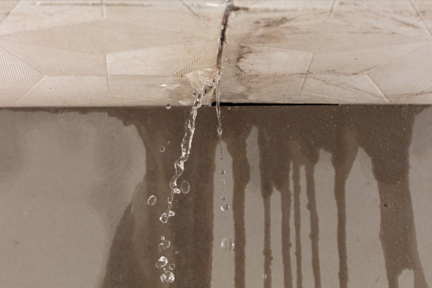 Professional Water Damage Inspection technician working in East Springfield, PA